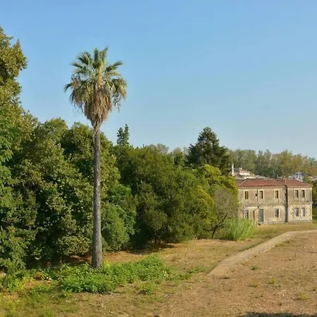Mon Repo Palace